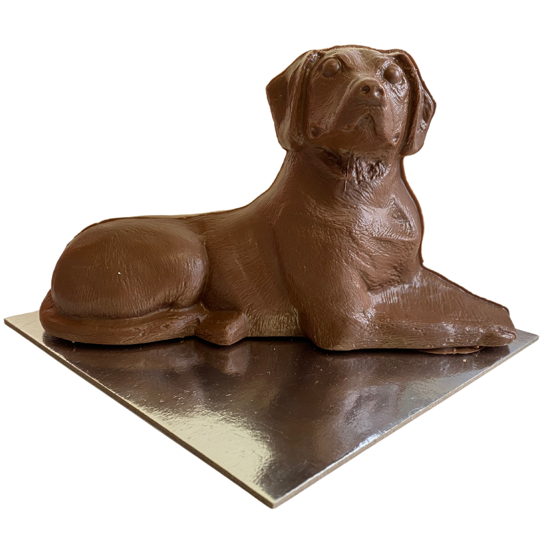 Chocolate Labrador Large Dog 300g